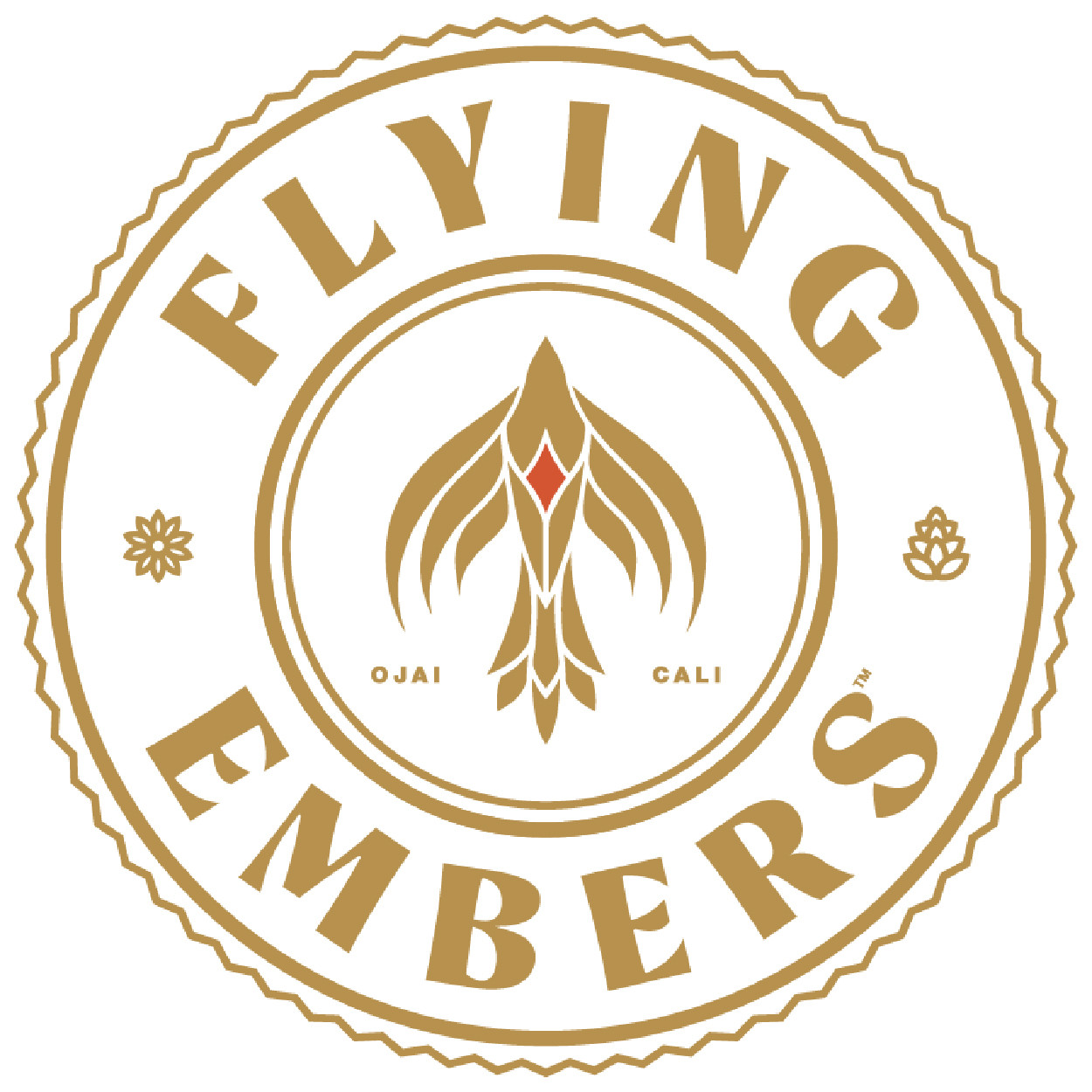 Flying Embers